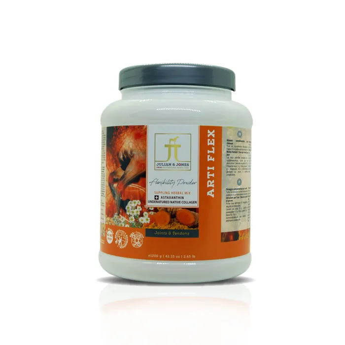 [JJ683009] Arti Flex (1.2 kg)